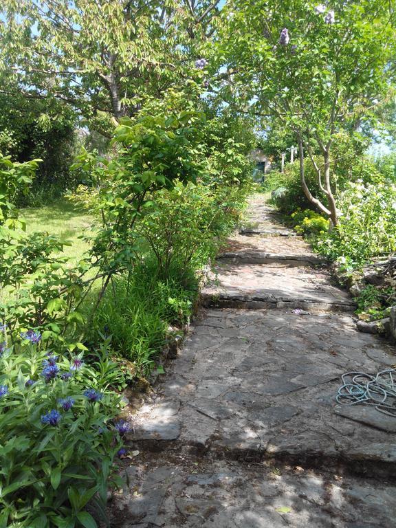 Gite De Charme Floreales Les Myosotis Asnelles Δωμάτιο φωτογραφία